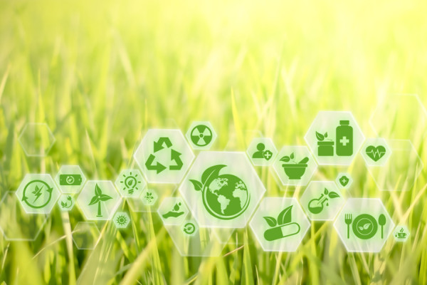 &copy; istock.com/panAek