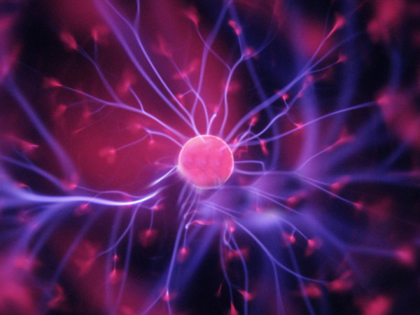 &copy; iStock.com/Alexander-Bashkirov